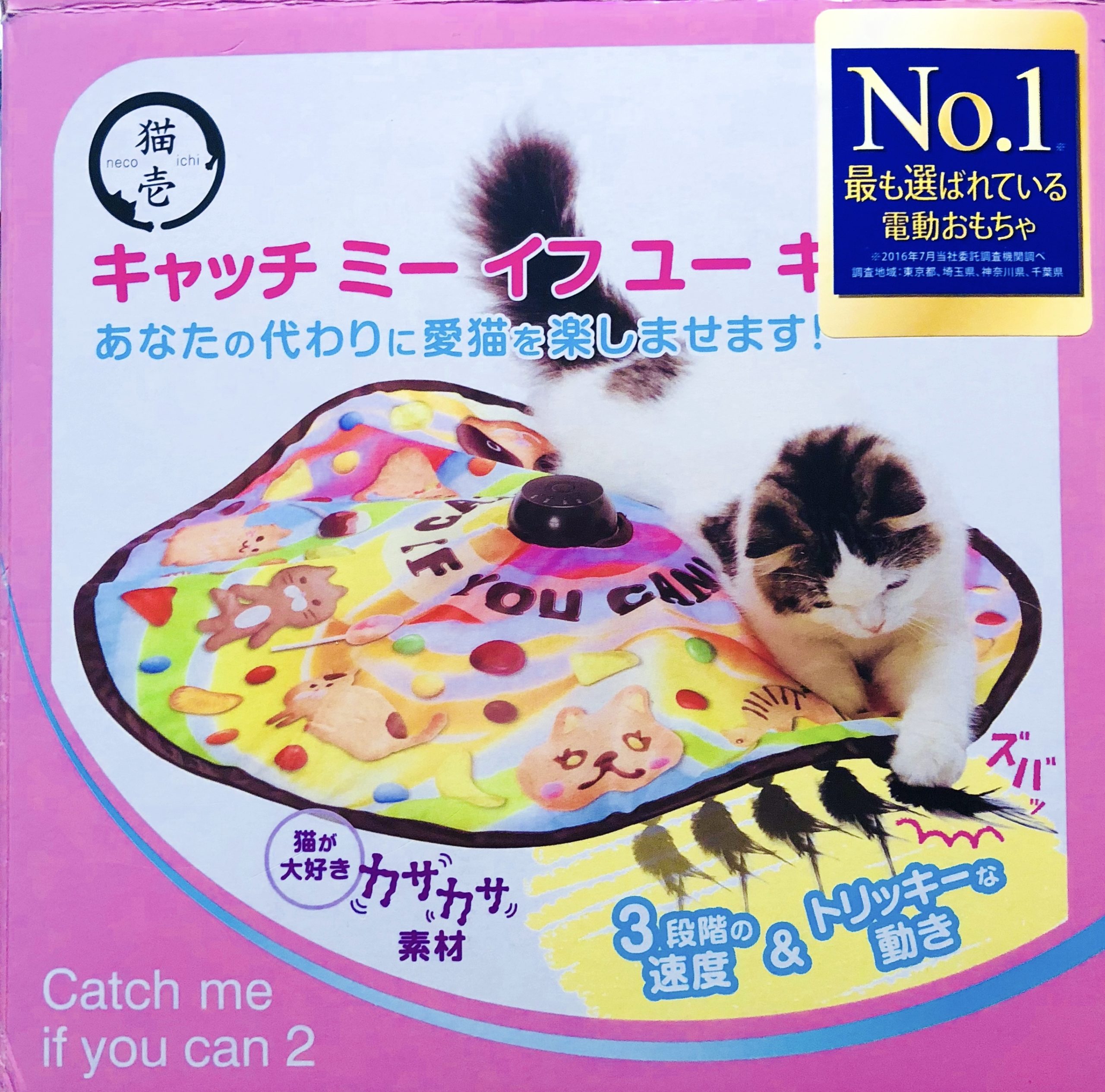 ねこのきもち×Catch Me If You Can　キャッチミーイフユーキャン